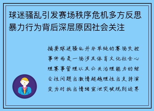 球迷骚乱引发赛场秩序危机多方反思暴力行为背后深层原因社会关注